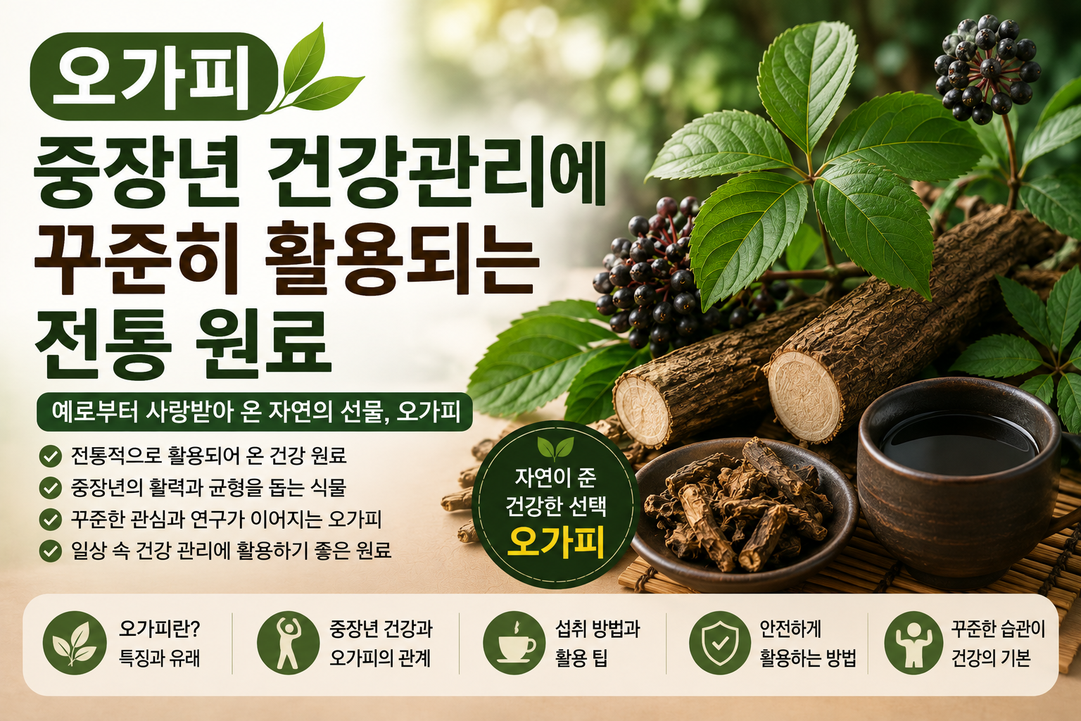 오가피 썸네일