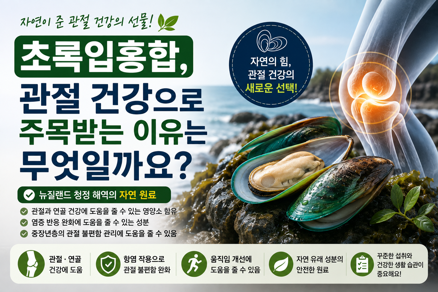 초록입홍합 썸네일