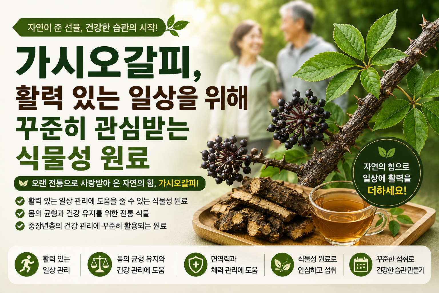 가시오갈피 썸네일